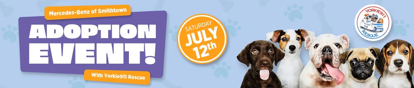 Yorkie911 Adoption Banner