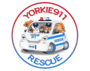 Yorkie 911 Rescue logo